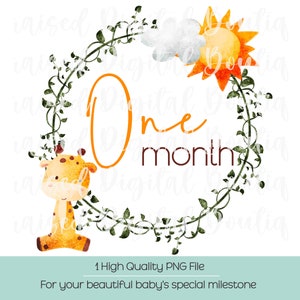 Safari Animals One Month Baby PNG: Jungle Clipart (Digital Download)