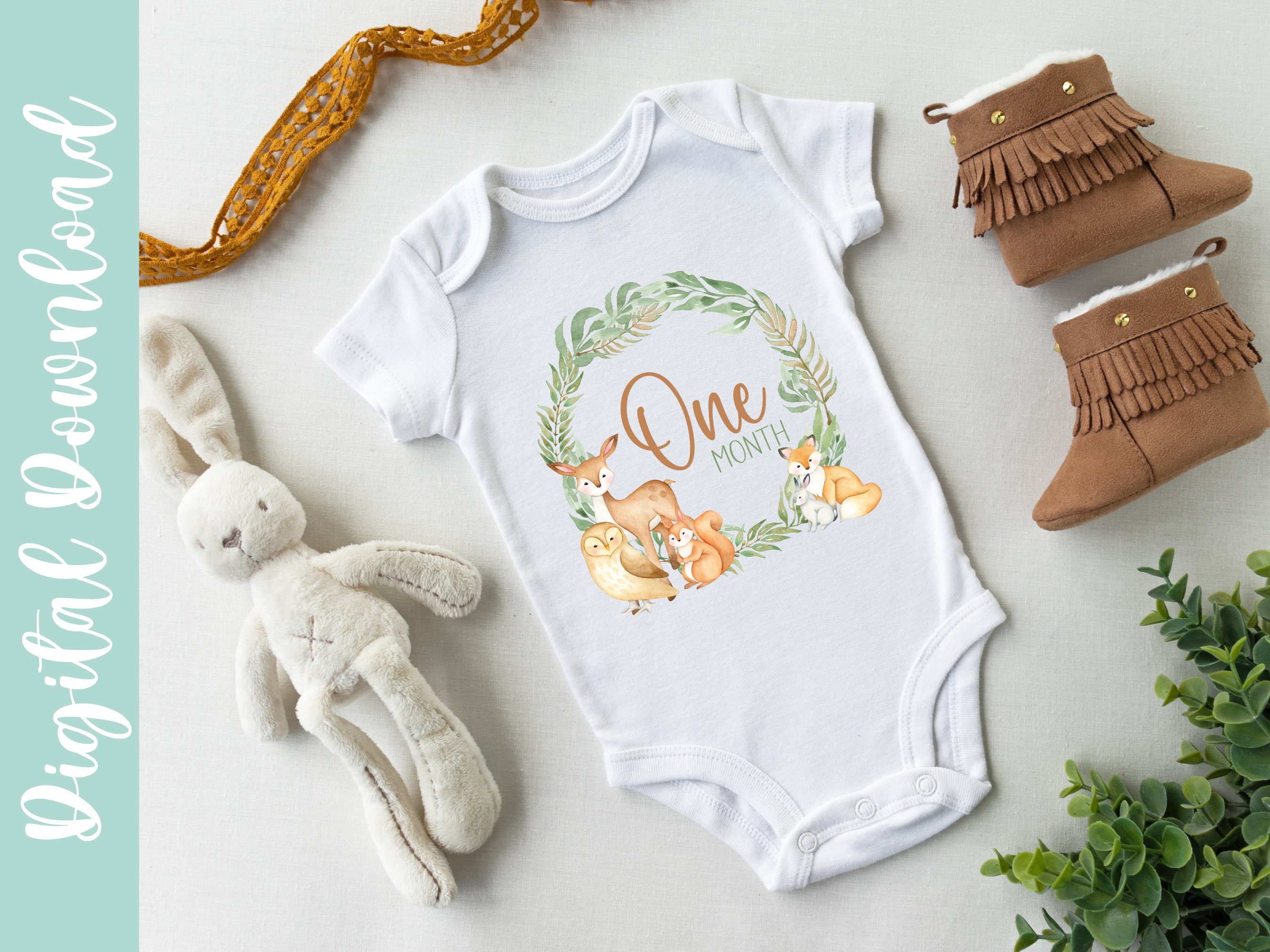 Woodland Creatures One Month Baby PNG Baby Monthly Milestone PNG, One ...