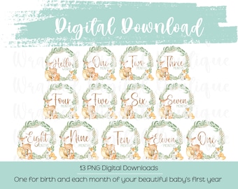 Woodland Baby Milestone PNG: First Year Clipart (Digital Download)