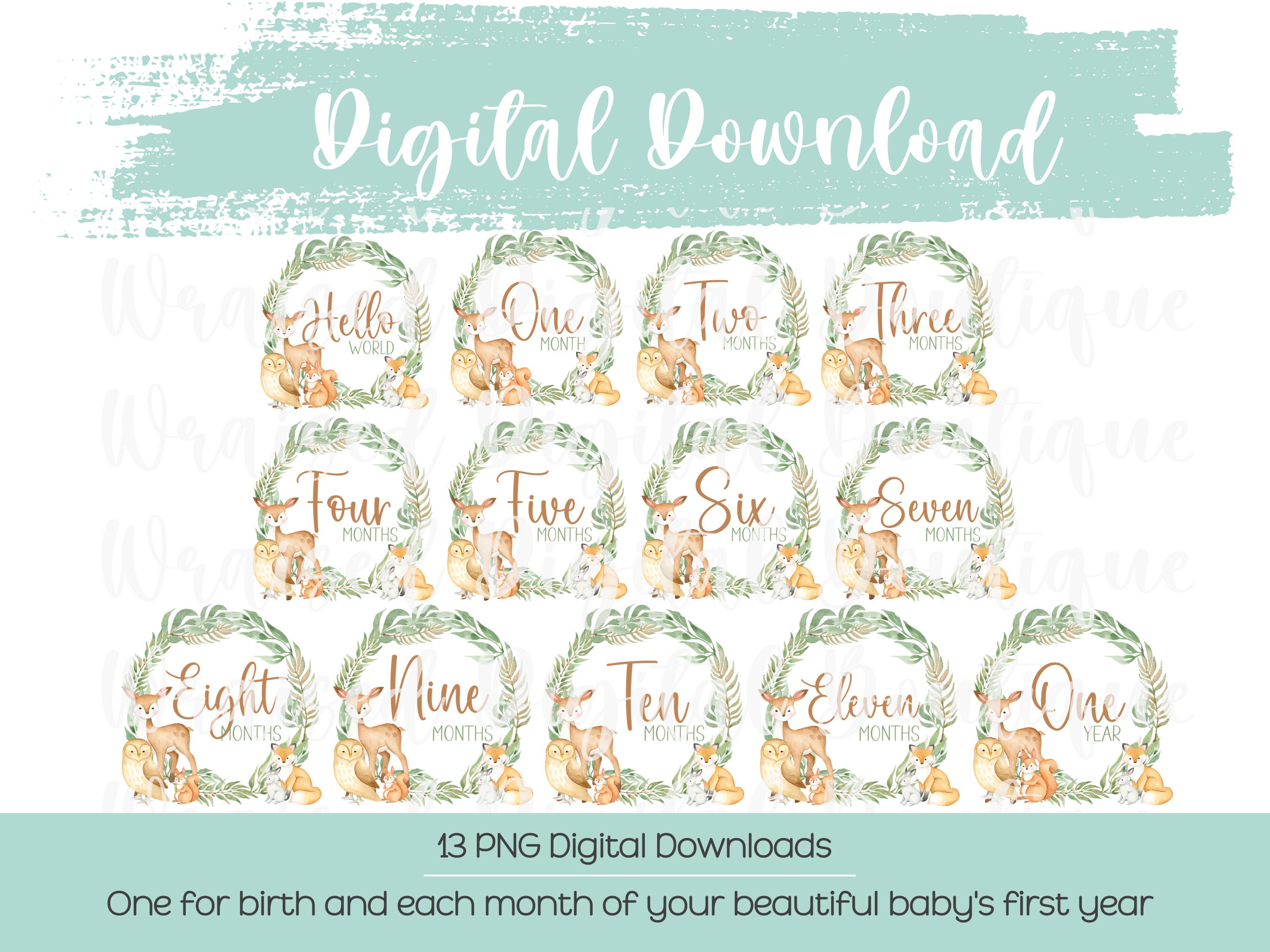 Baby Monthly Milestone PNG Woodland Creatures Baby PNG Hello World PNG baby-monthly-milestone-png-woodland-creatures-baby-png-hello-world-png