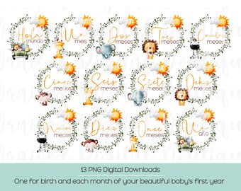 Spanish Safari Animals Baby Monthly Milestone PNG (Digital Download)