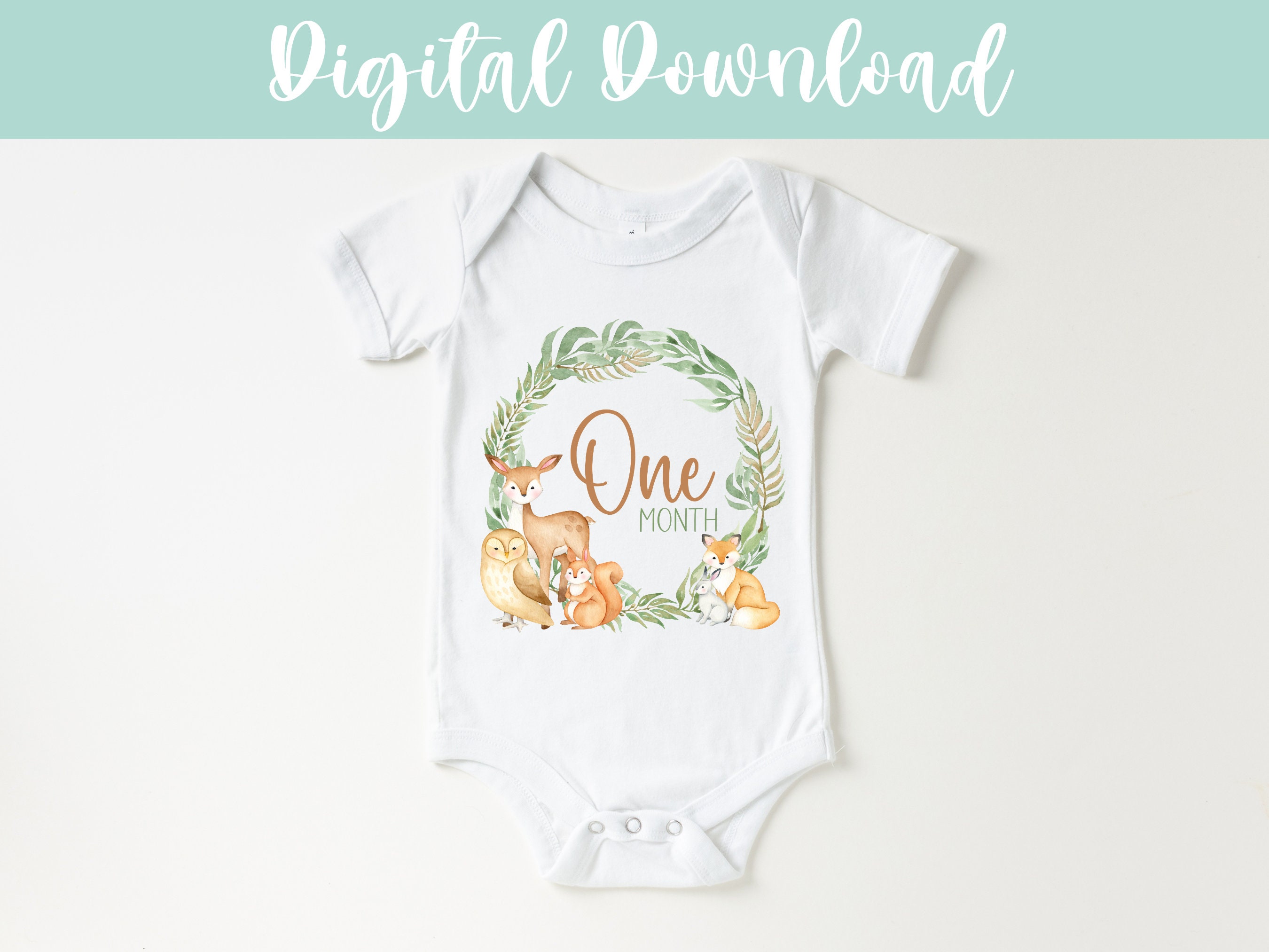 Woodland Creatures One Month Baby PNG Baby Monthly Milestone PNG, One ...