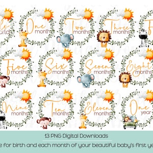 Étape mensuelle du bébé PNG | Safari animaux bébé PNG, Hello World PNG, bébé téléchargement numérique, bébé png, Clipart nouveau-né, bébé Bundle,