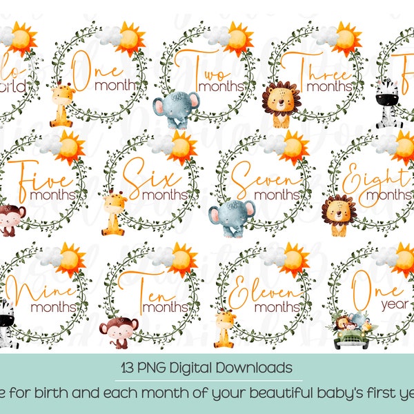 Baby Monthly Milestone PNG | Safari Animals Baby PNG, Hello World PNG, Baby Digital Download, Baby png, Newborn Clipart, Baby Bundle,