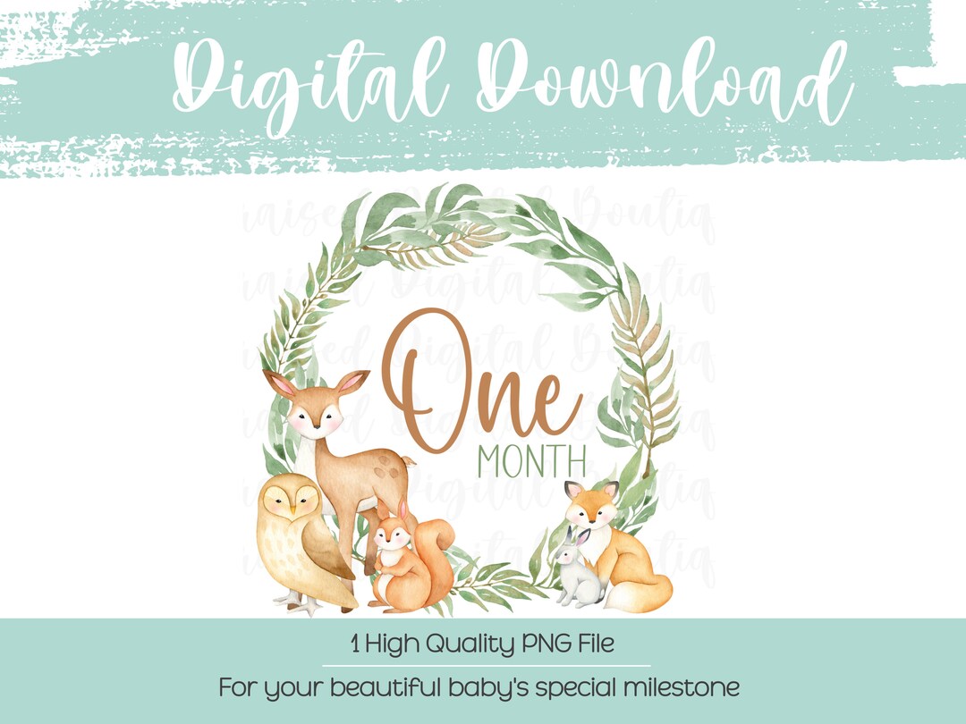 Woodland Creatures One Month Baby PNG Baby Monthly Milestone PNG, One ...