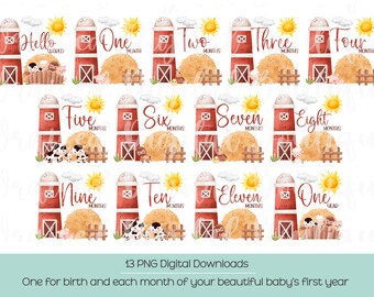 Farm Animals Baby Monthly Milestone PNG (Digital Download)