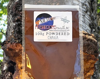 Chaga Mushroom Powder ~ 100g