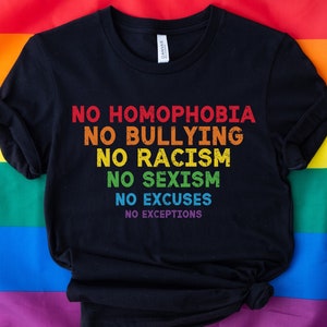 Pride Shirt, No Homophobia Shirt, Equality Shirt, Gay Pride TShirt, Rainbow Flag Shirt, LGBTQ shirt, Anti Bullying, Anti Racism