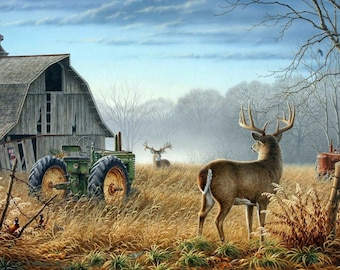 Framed Canvas Art Print Whitetail Deer Abandoned Country Farm Tractor Wildlife