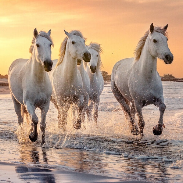 Chevaux de Camargue courant dans l'océan sud de la France dosseret mural en carreaux de céramique