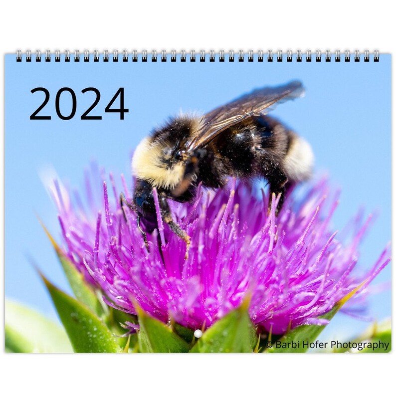 2024 Bee Calendar Etsy