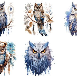 Einzigartige künstlerische Eule Illustrationen Sammlung - Clipart zum sofortigen Download und Sublimation Designs