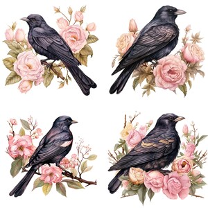"Wunderschön illustrierte Vögel mit rosa Rosen - perfekt für Clipart, Sofort-Download und Sublimationsdesign-Projekte."