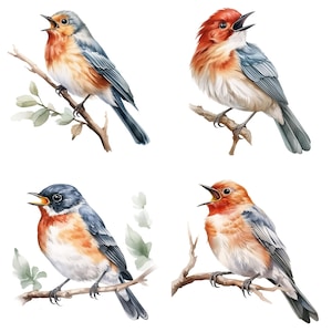Collezione di uccelli acquerellati affascinanti - Clipart splendidamente illustrate per download immediato e design a sublimazione
