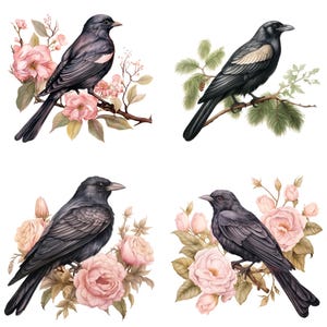 Exquisite Vogel und Blumen Illustrationen für Sublimationsdesigns - Vintage Botanische Clipart Sammlung zum sofortigen Download