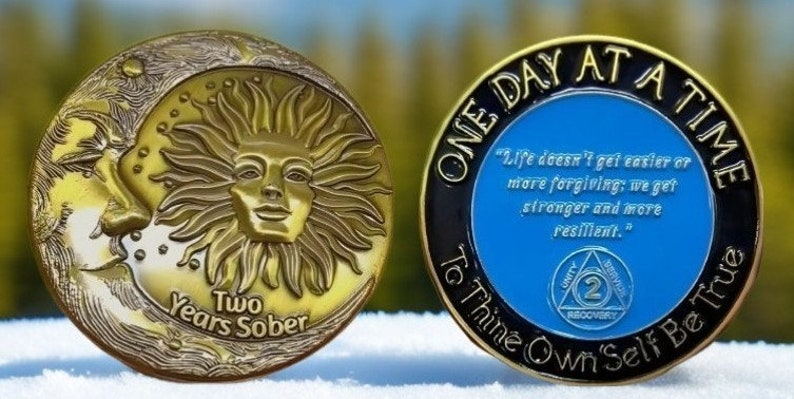 2 Years Sober Coin Medallion, Two Year Sobriety Gift Chip Token, AA ...