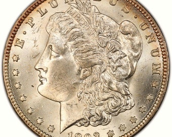Morgan silver dollar 1893 O or 95 0 replica of these rare US Silver Coins plus other usa rare coins. LG#93O or 95O
