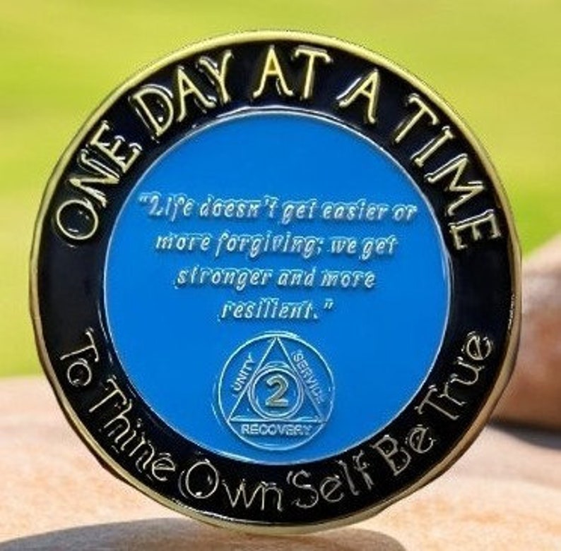 2 Years Sober Coin Medallion, Two Year Sobriety Gift Chip Token, AA ...