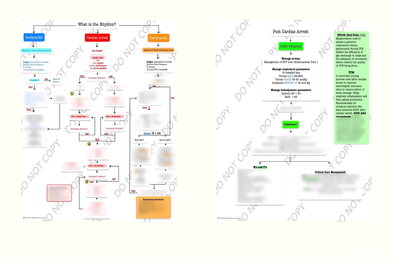 ACLS Algorithm Sheet | Mega Code Flowchart | Nurse Cheat Sheet, ACLS ...