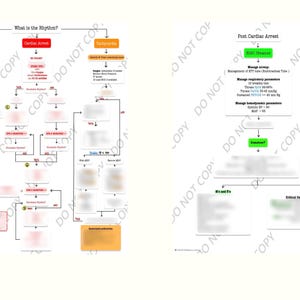 May include: Two-panel diagram with medical flowcharts. The left panel is titled "What is the Rhythm?" and the right panel is titled "Post Cardiac Arrest". The diagrams are on a white background.