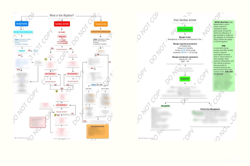 May include: Two-panel diagram with medical flowcharts. The left panel is titled "What is the Rhythm?" and the right panel is titled "Post Cardiac Arrest". The diagrams are on a white background.