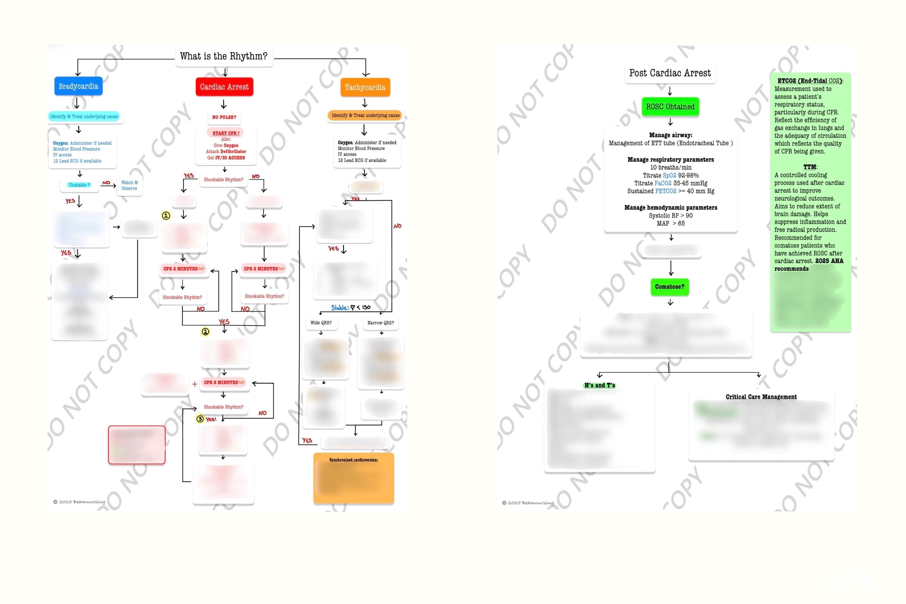 ACLS Algorithm Sheet | Mega Code Flowchart | Nurse Cheat Sheet, ACLS ...