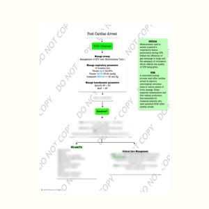 May include: A medical flowchart titled "Post Cardiac Arrest" with steps for patient care. Includes sections on managing airway, respiratory parameters, and hemodynamic parameters. Also includes information on PETCO2 and TTM.