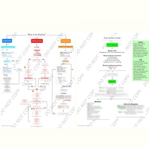 May include: Two-page medical flowcharts on a white background. The left page details "What is the Rhythm?" with sections on bradycardia, cardiac arrest, and tachycardia. The right page covers "Post Cardiac Arrest" and "Critical Care Management."