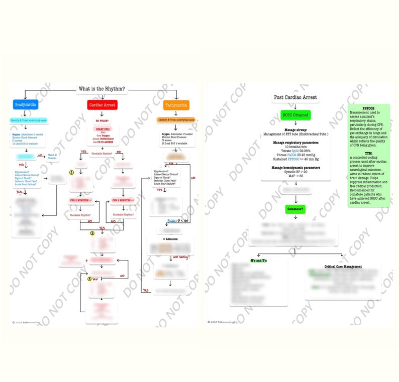 May include: Two-page medical flowcharts on a white background. The left page details "What is the Rhythm?" with sections on bradycardia, cardiac arrest, and tachycardia. The right page covers "Post Cardiac Arrest" and "Critical Care Management."