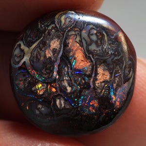 12.65 Ct. Koroit Boulder Polished Opal  TOG-2023