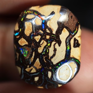 Könnte beinhalten: Ein polierter Boulder-Opal-Edelstein mit einer beigen, hellbraunen und braunen Matrix mit komplizierten, dunkelbraunen, aderartigen Mustern. Der Stein zeigt lebendige, mehrfarbige Blitze aus grünem, blauem, rotem und gelbem Feuer.