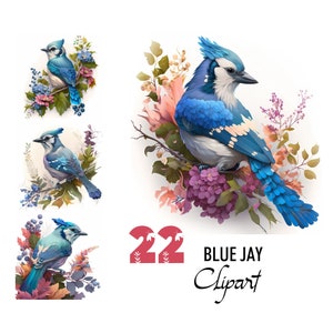 Blue Jay Clipart Vogel Singvogel Pajaros Digitale Illustration Papier Crafting Collage Bild Junk Journal Scrapbook Malerei Art Print Download