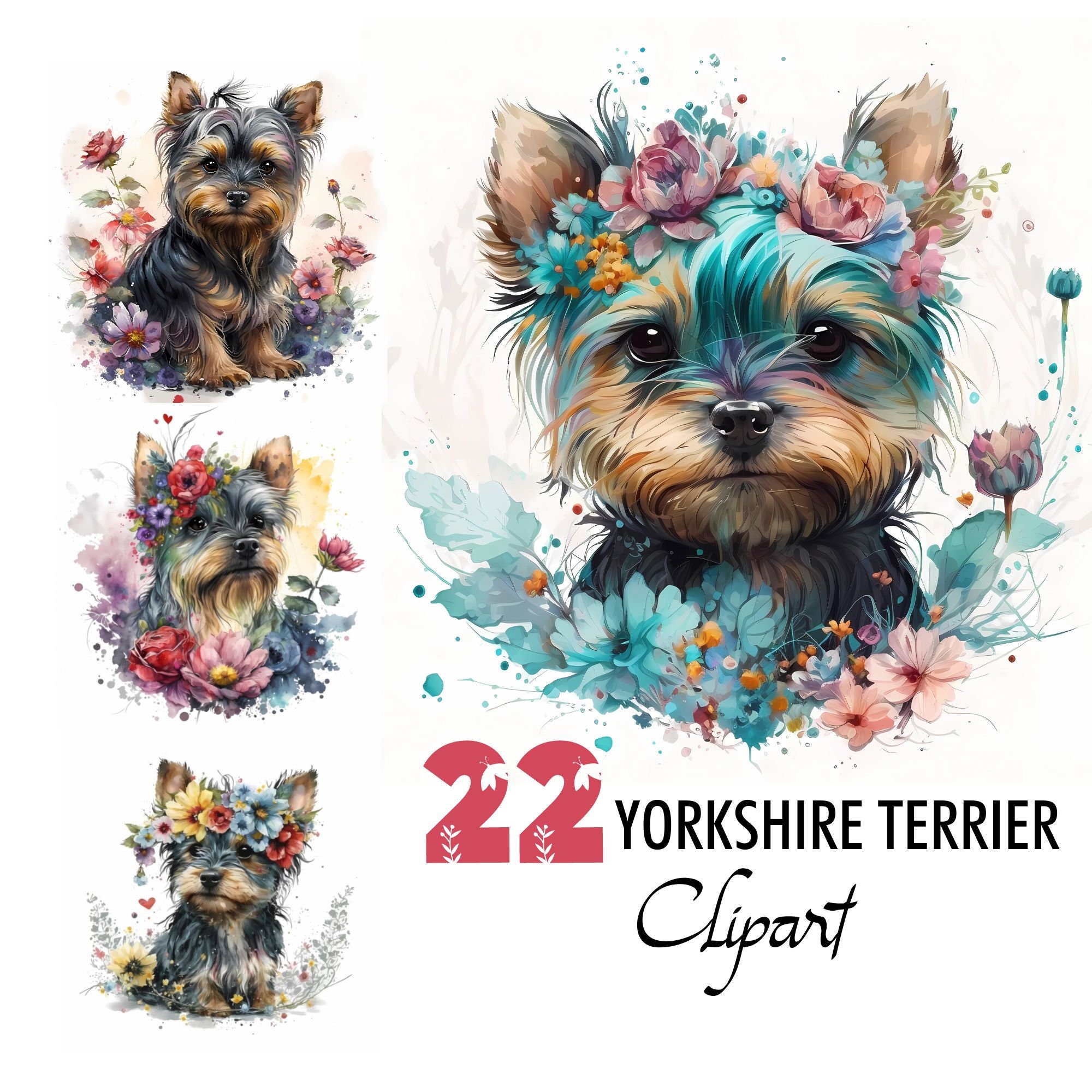 Amanda's adorable yorkies 2025