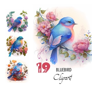 Niedliche Drossel Clipart Sublimation Digitale Illustration Aquarell Vogel Papier Basteln Collage Bilder Sammelalbum Malerei Kunstdrucke Download