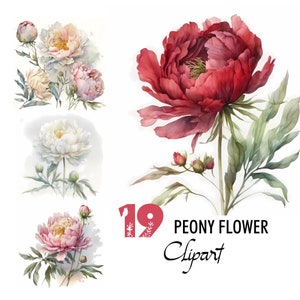 19 牡丹の花のクリップアート 水彩イラスト 花のデジタル画像 印刷可能 ダウンロード スクラップブッキング ジャンクジャーナル 紙ページ クラフトカード