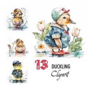 13 Duckling Watercolor Digital Illustration Paper Crafting Collage Images Junk Journaling Scrapbook Painting Hummingbird Art Prints Download