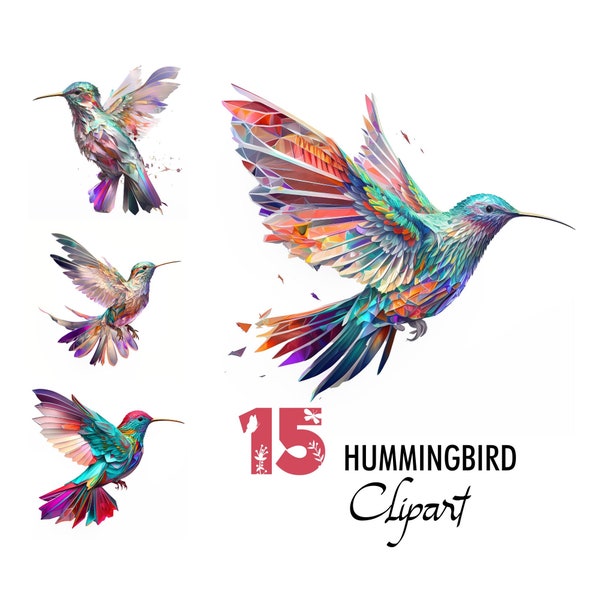 Colorful Hummingbird Clipart Colibri Colibry Kolibri Pajaros Hachidori Bird JPG Image Pattern Sublimation Scrapbook Junk Journal Download