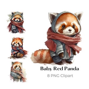 Panda vermelho fofo PNG vida selvagem clipart ilustração digital papel artesanato colagem imagem lixo diário scrapbook pintura arte impressão download