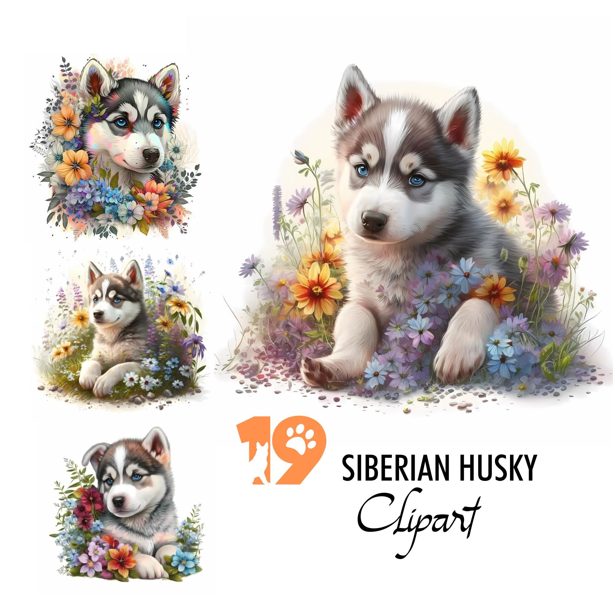 Siberian Husky Puppy Clipart Alaskan Klee Kai Pet Dog Digital - Etsy