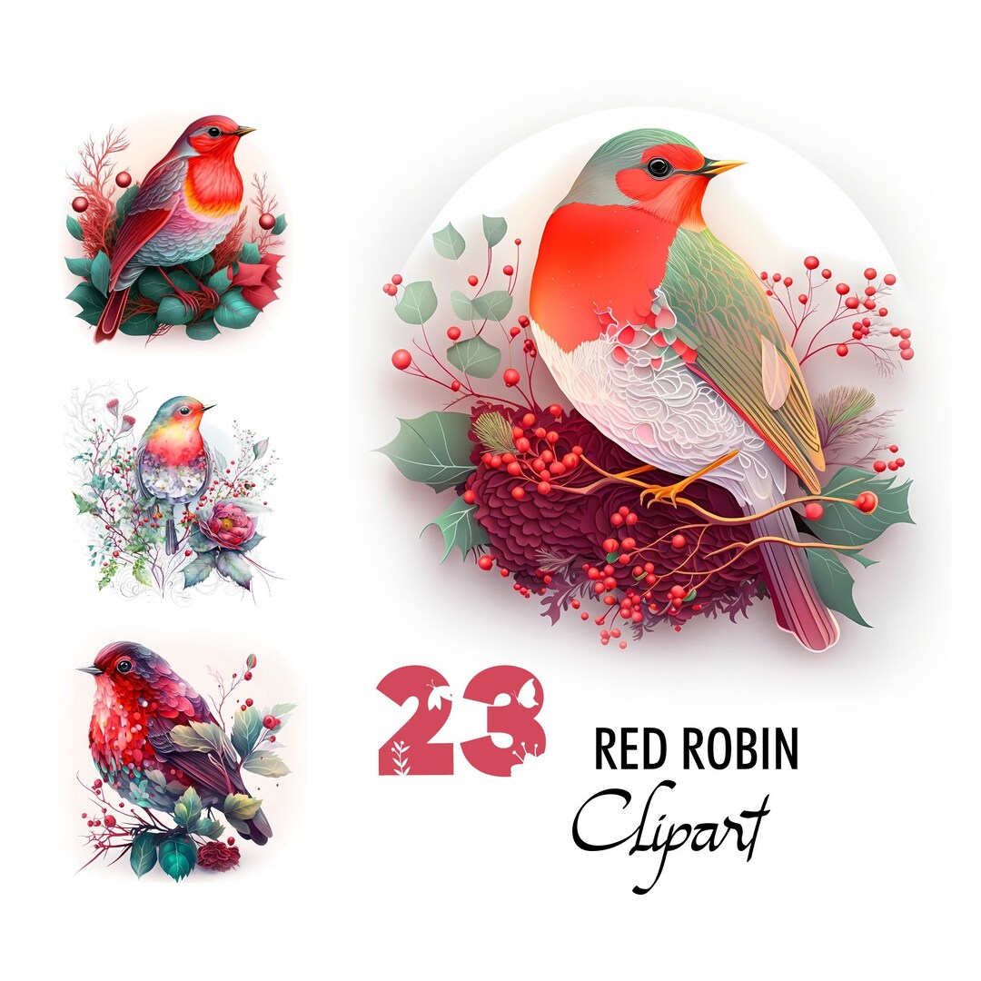 Red Robin Clipart Digital Illustration American Bird Paper Crafting