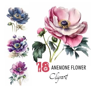 18 Anemone Flower Clipart Watercolor Illustration Floral Digital Image Printable Download Scrapbooking Junk Journal Paper Page Crafting Card