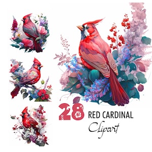 Rode kardinaal clipart digitale illustratie noordelijke vogel papier crafting collage beelden ongewenste journaling scrapbook schilderij kunst prints downloaden