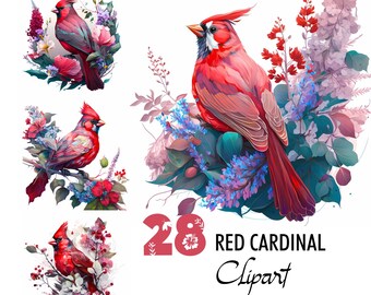Red Cardinal Clipart Digital Illustration Northern Bird Paper Crafting Collage Images Junk Journaling Scrapbook Painting Art Prints Download