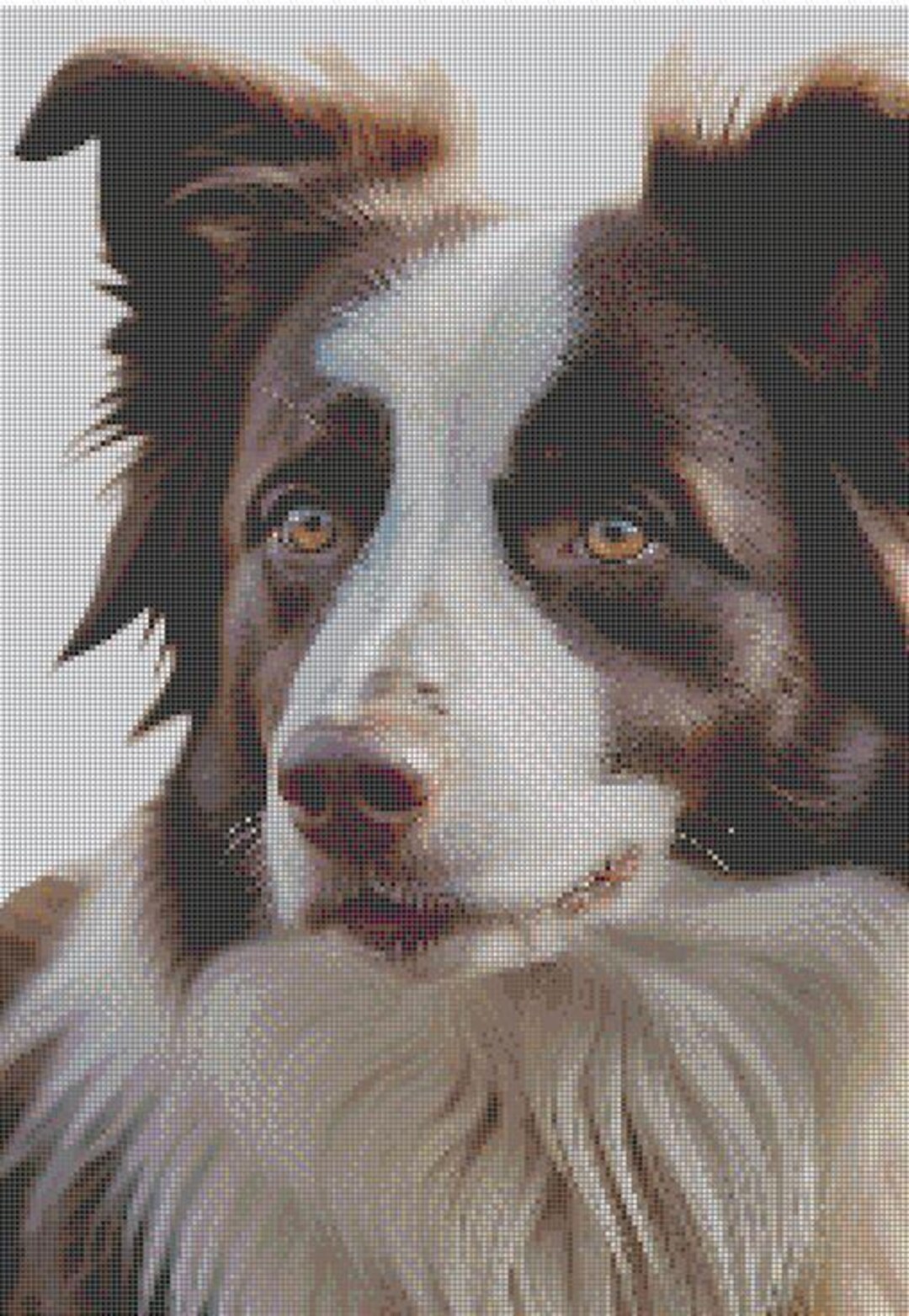 Red Border Collie Cross Stitch Chart. Instant Download PDF - Etsy