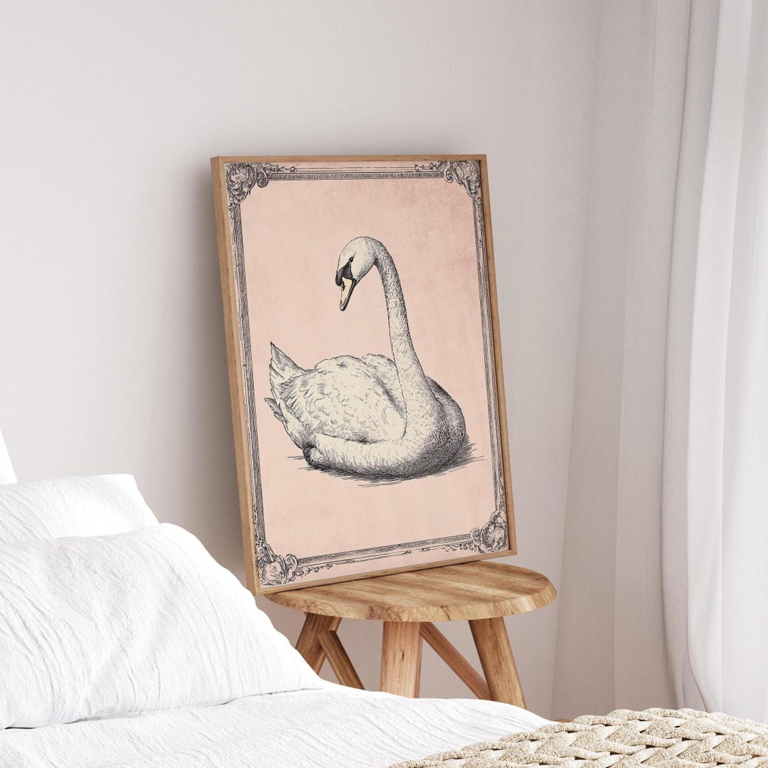 Antique Swan Illustration Print | Vintage Pink Wall Art | Blush Nursery ...