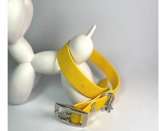 1" Heavy Duty Collar - Waterproof Biothane Durable Dog Collar, Yellow Nickel Hardware, Stink Resistant Vegan Leather Wipe Clean