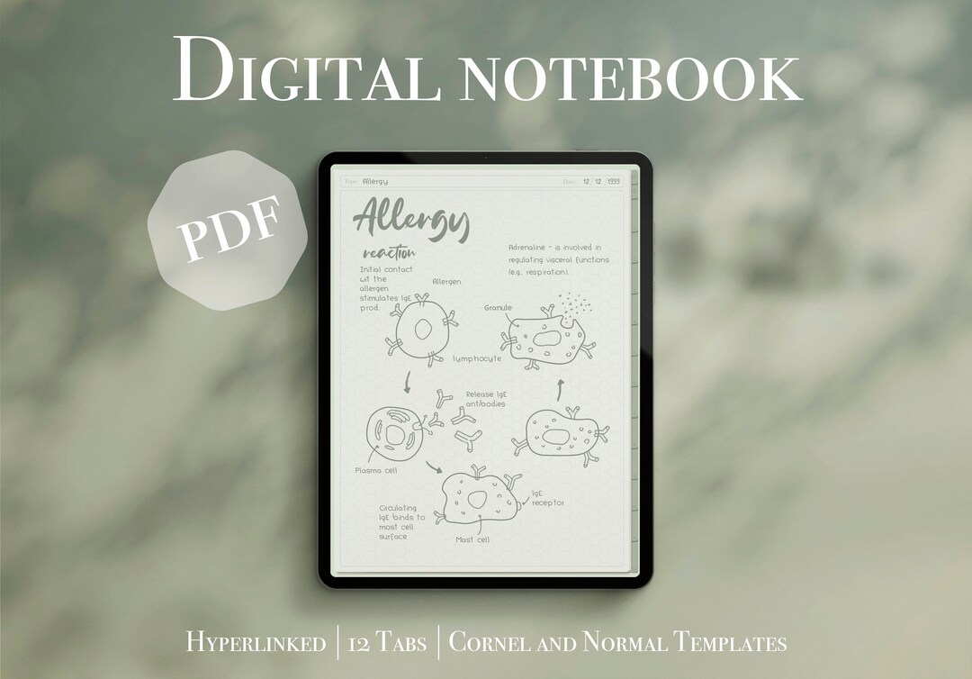 Cornell Method Template PDF Notebook, Digital Note Taking, Cornell Note ...