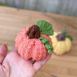 May include: A crocheted pumpkin with a green stem and brown center. The pumpkin is a light peach color.