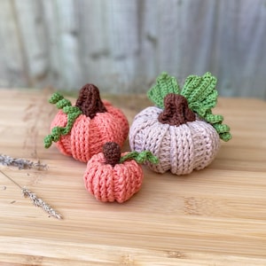 Pompoen haakpatroon herfstdecor gehaakt pdf-patroon, patroon-pdf direct digitale download, eenvoudig haakwerk Thanksgiving Halloween 2 maten