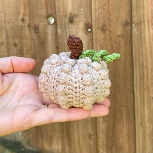 May include: A crocheted pumpkin with a brown stem and green leaves. The pumpkin is a light beige color and has a textured surface.